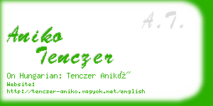 aniko tenczer business card